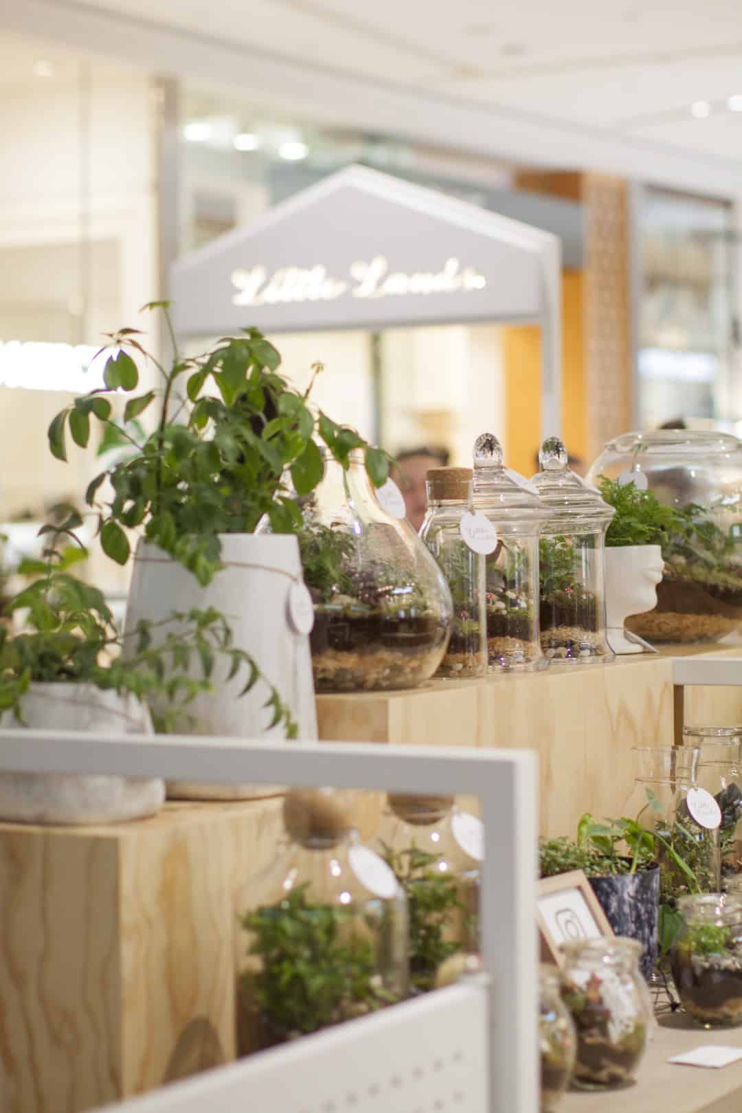 Plants on glass and white colour pots